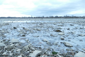 Blick auf die Beueler Seite bei Niedrigwasser