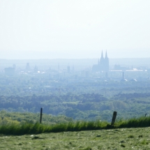 Blick auf Köln