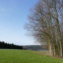 Blick in die Landschaft