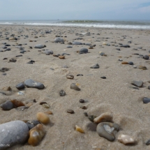 Steinchen sammeln am Strand