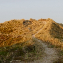 Weg über die Dünen am Abend