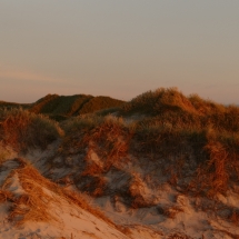 Dünen im Abendlicht