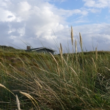 Idylle mit Ferienhaus