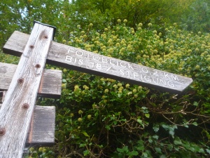 Fachwerkweg Freudenberg mit Fotoblick