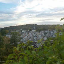 Blick auf die Freudenberger Altstadt