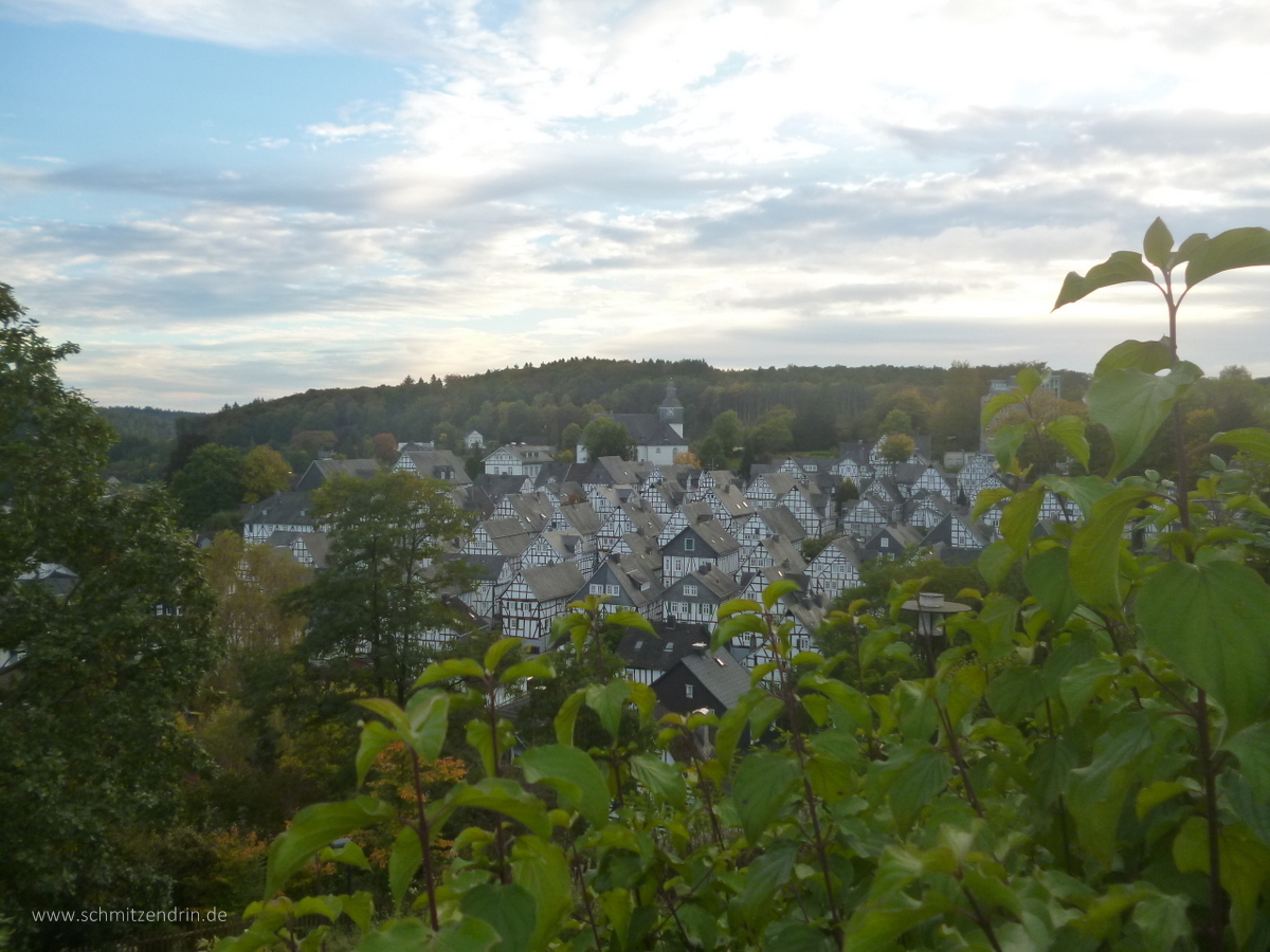 Blick auf die Freudenberger Altstadt