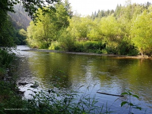 20190717_164222
