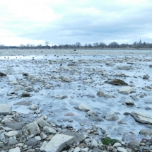 Blick auf die Beueler Seite bei Niedrigwasser