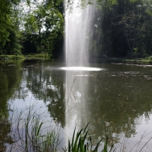 Botanischer Garten