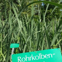 Botanischer Garten