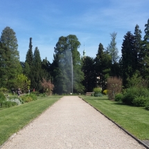 Botanischer Garten