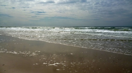 Meer pur