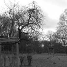 Dezember-Spaziergang in schwarz/weiß