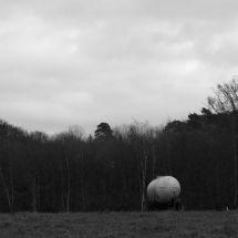 Dezember-Spaziergang in schwarz/weiß