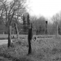 Dezember-Spaziergang in schwarz/weiß