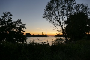 p1180793