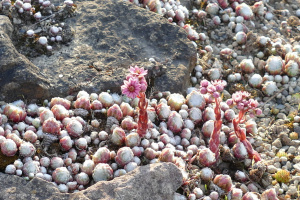 P1260178